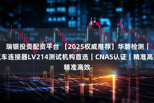瑞银投资配资平台 【2025权威推荐】华碧检测｜汽车连接器LV214测试机构首选｜CNAS认证｜精准高效