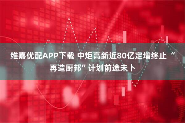 维嘉优配APP下载 中炬高新近80亿定增终止 “再造厨邦”计划前途未卜